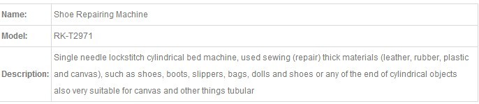 Zoyer de una sola aguja de cilindros de cilindros de cilindros M&aacute;quina de reparaci&oacute;n (ZY 2973)